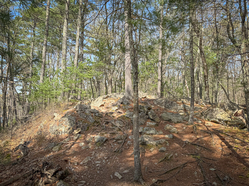 Finding the right climbing line can be a challenge on your first time on some of these trails.
