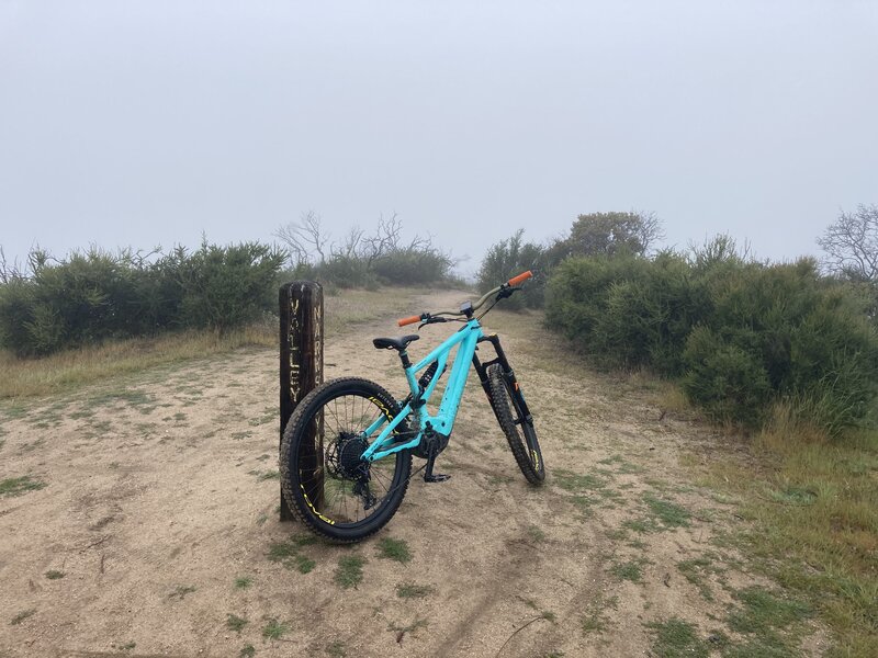 The start of Toro Loco (at the Y junction with Simas Peak Trail).