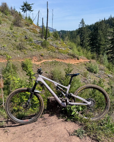 Kleeway Trail