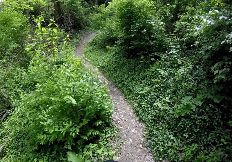 Above the southeast switchback.