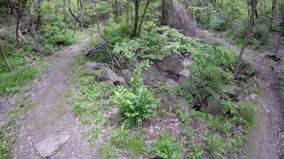 Northeast multi-trail connections area.