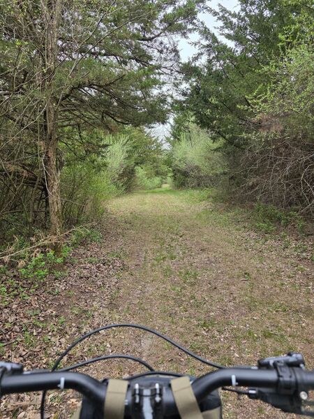 Typical view of the trail.
