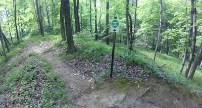 Connection between "Tour de Pin" and "Keebler Tree Plateau."