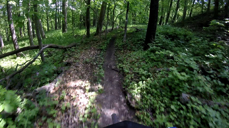 Beginning area of the trail.