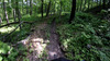 Beginning area of the trail.