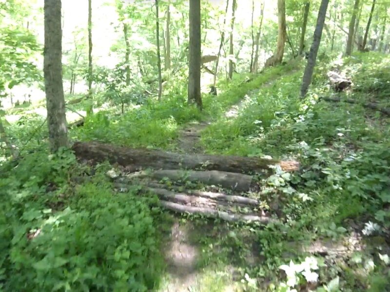 One of the log pile rollover features.