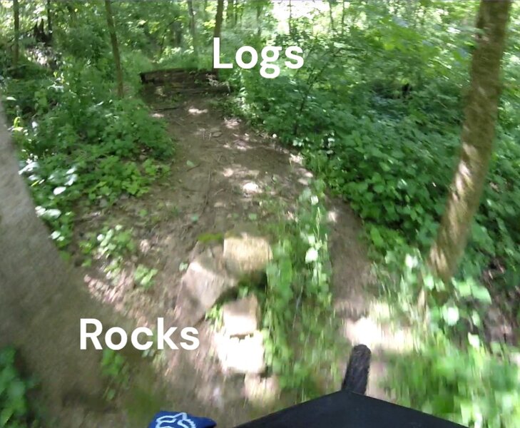 Rocks and logs features.