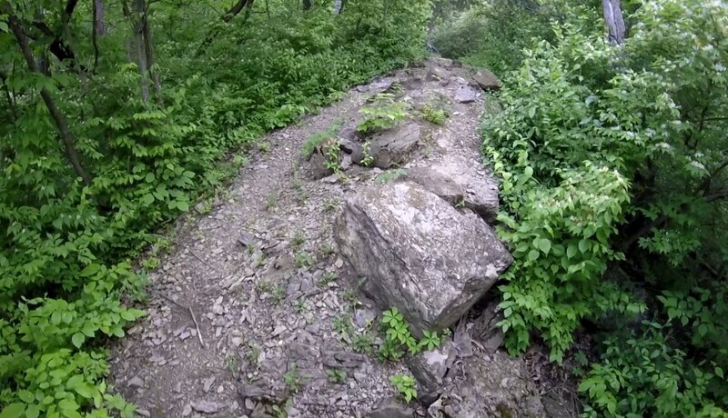 Looking up from the bottom of the rocky descent.