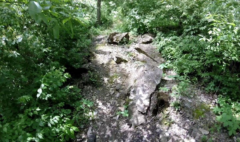 A very stony path.