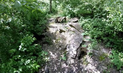 A very stony path.