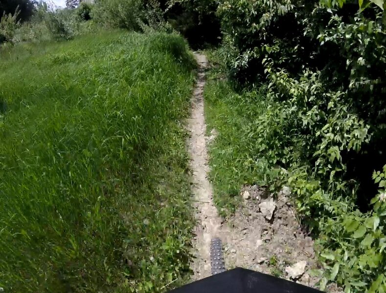 Eastern curve of "The Thicket".