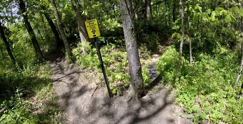 Fork to "The Plunge" option.