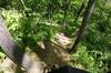 The Plunge: a steep descent. Fun.