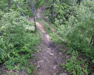 Steep descent to turn back onto "South Entrance".