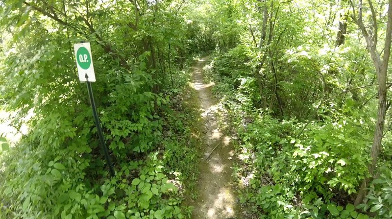 Trailhead for "O.P."