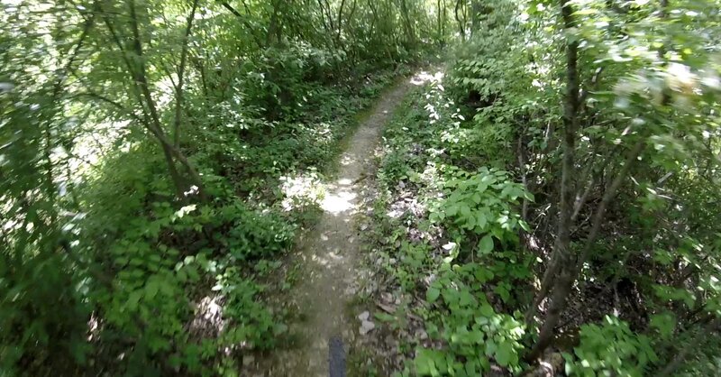 Trail.