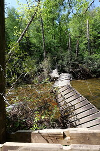 First Footbridge from Turkey Pen Parking lot.