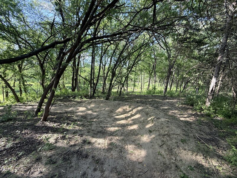 Trail 202