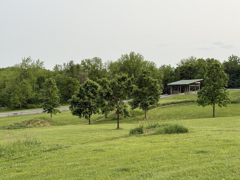 Grave Digger Ewing Flow