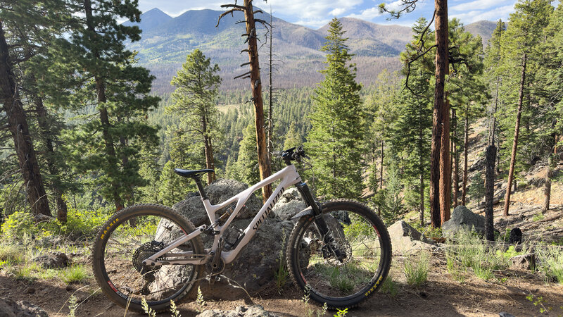 Upper section with views.