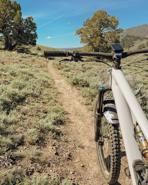 Singletrack trail on the climb up.