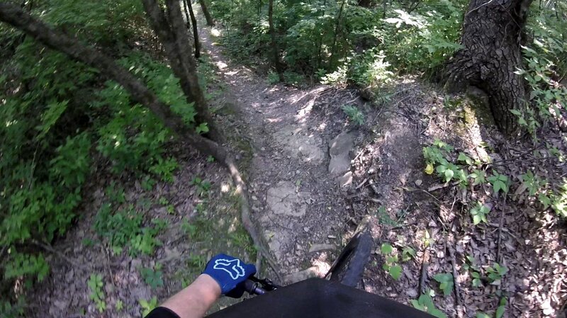 One of the dips.