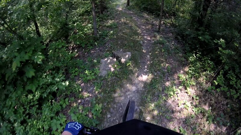 On the trail.