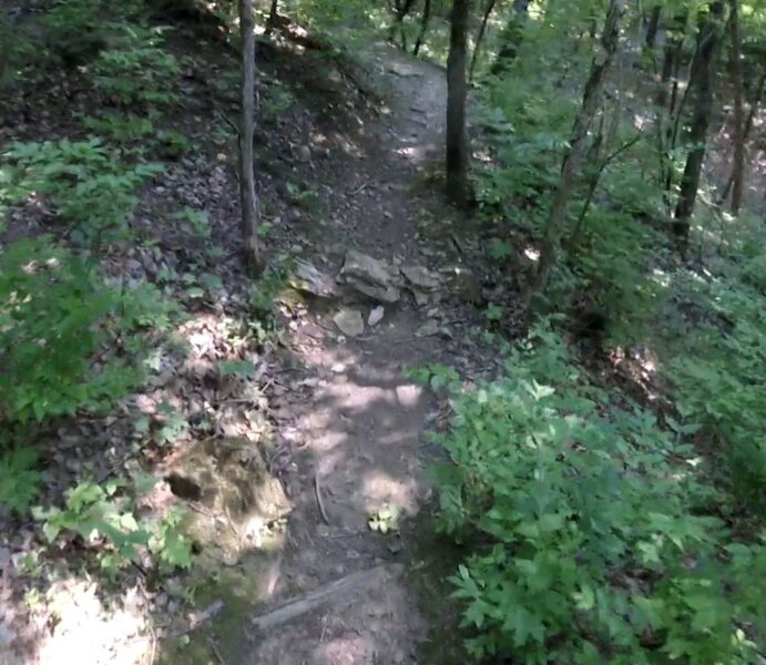 More rocks.