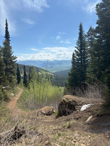 Fuzzy Bunny - Teton Pass
