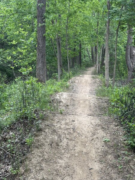 Whoop-de-dos on Purple Loop