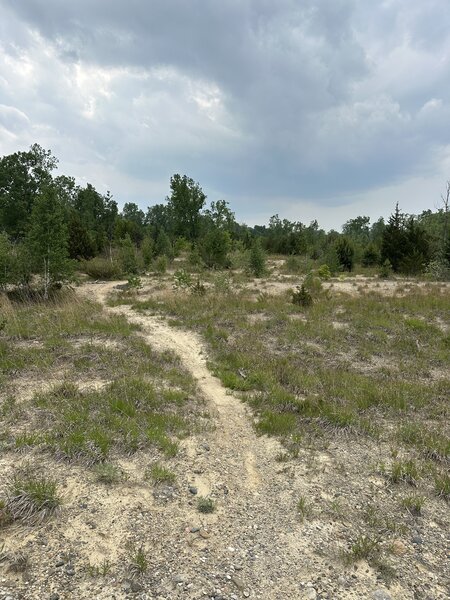 Reynolds Loop near Birch Lake
