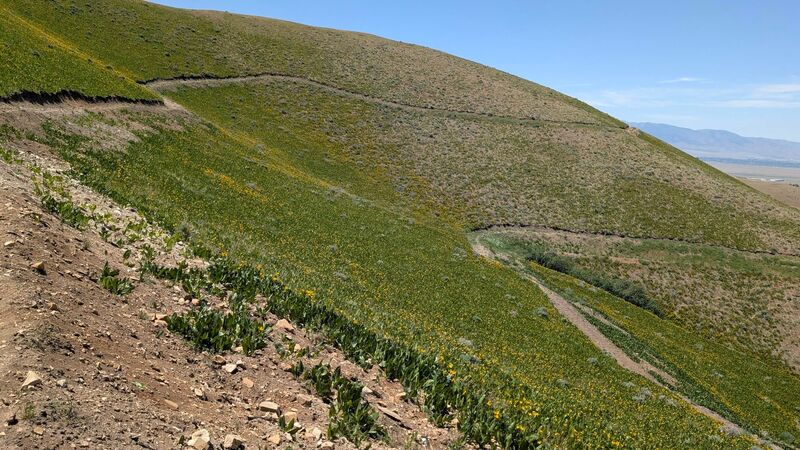 Late spring & the switchbacks
