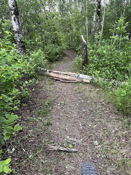 Log hop (chainring smasher).