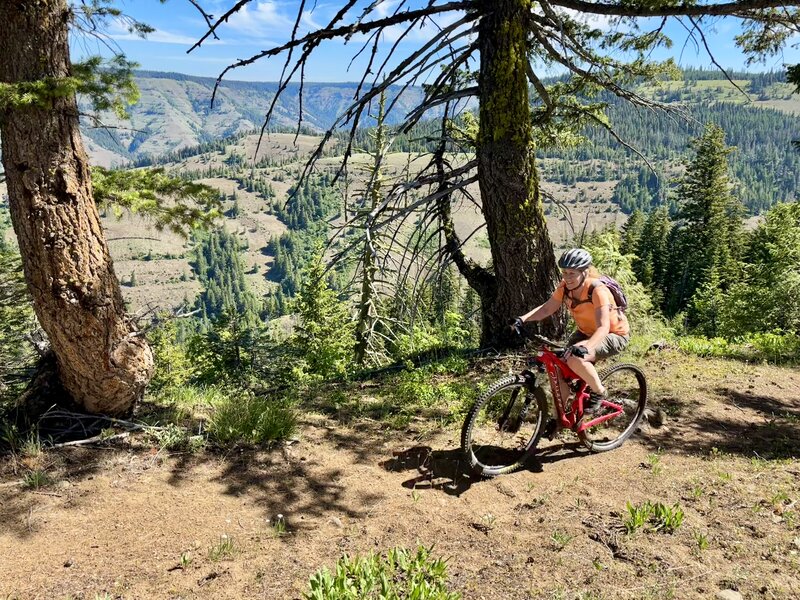 Umatilla Rimtrail overlooking the headwaters of the Umatilla River.