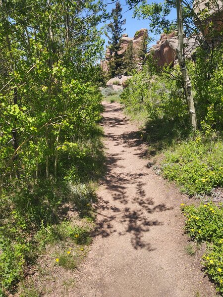 Easy trail section.