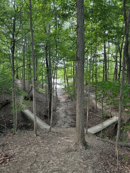 Two of the many wooden bridges on MTB loop.