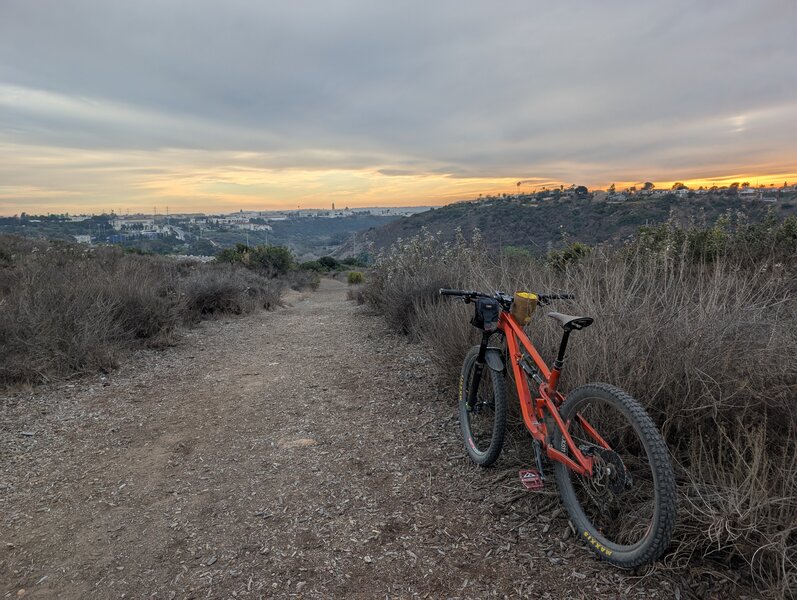 Ready to drop down Lanston.