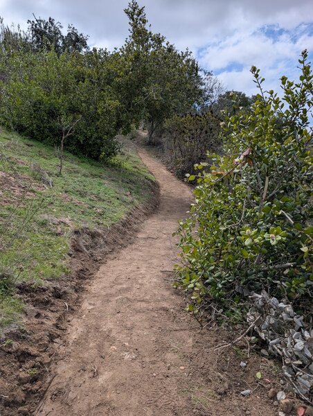 Nice flow on the sidehill portion of the trail.