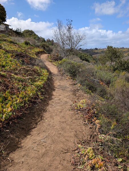 Nice flow on the sidehill part of the trail.