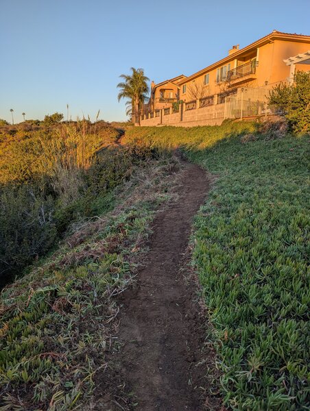 Contouring through the iceplant on Lanston Rim.