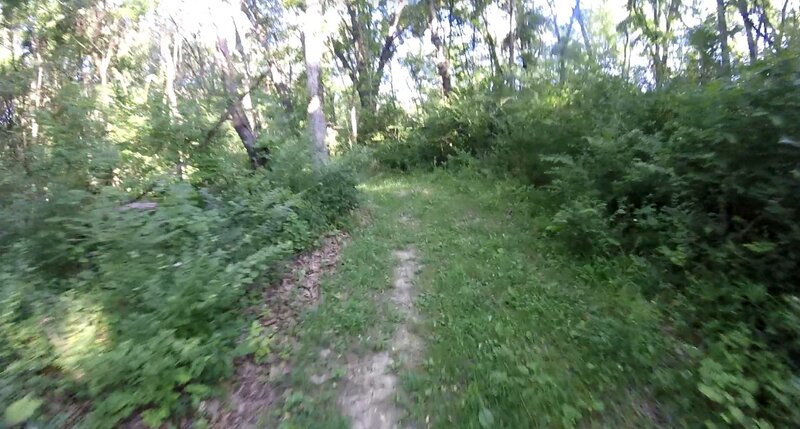 View of the trail.