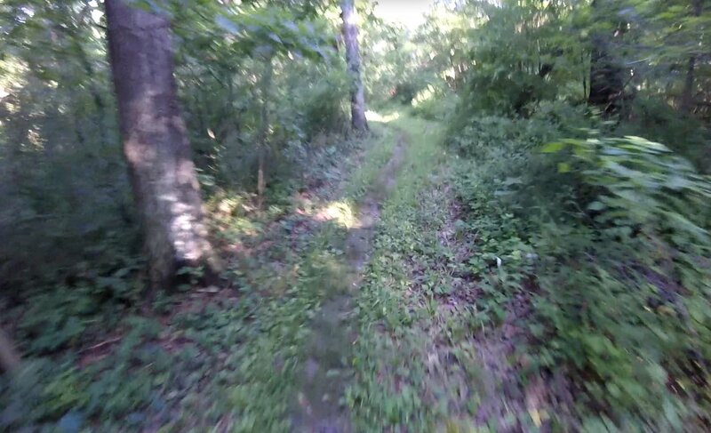 View of the trail.