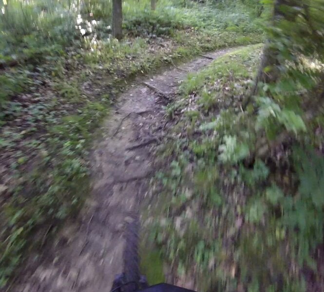 Rooty turn.