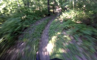 View of the trail.
