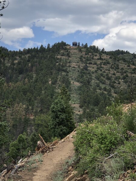 A mile and a half up Rosa Gulch - two and half more to the top!