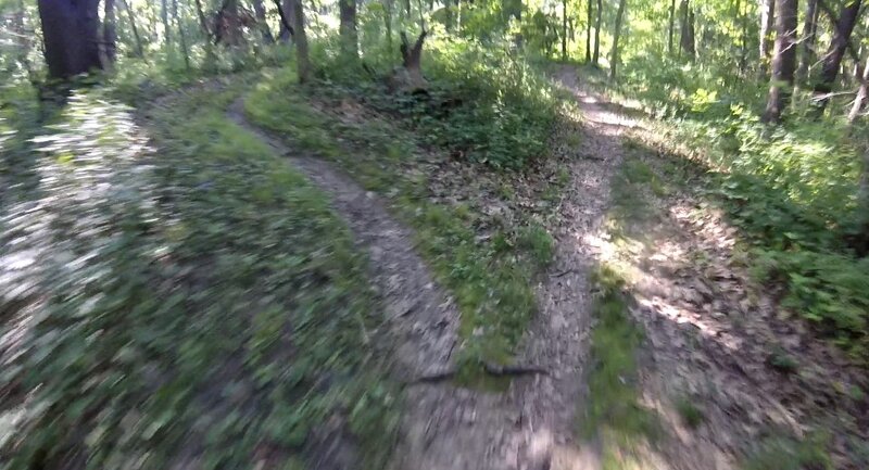The "Log" trail is the left fork here (viewing from the north). "Bowwood" continues to the right.