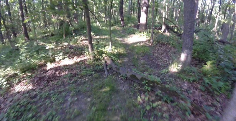 Another log obstacle.