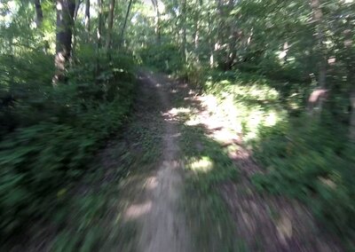 View on the trail.