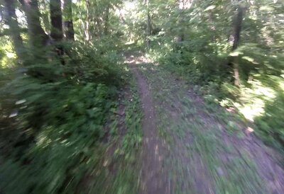 View on the trail.