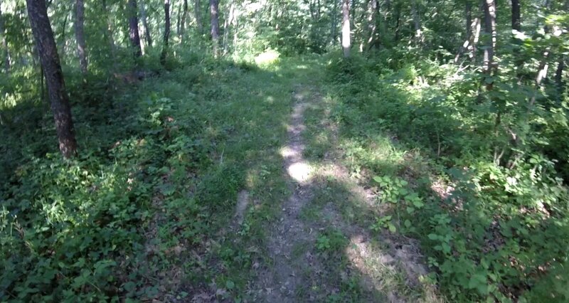 View of the trail.